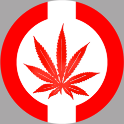 Drapeau canabis au canada (5x5cm) - Autocollant(sticker)