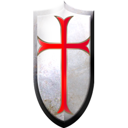 Bouclier Croisé - 15x7.5cm - Sticker/autocollant