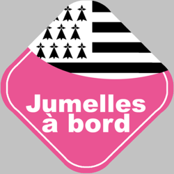 bébés à bord jumelles bretonnes (15x15cm) - Sticker/autocollant