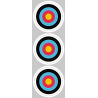 Cible colorée (3 de 10cm) - Sticker/autocollant