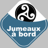bébés à bord jumeaux triskel (15x15cm) - Sticker/autocollant