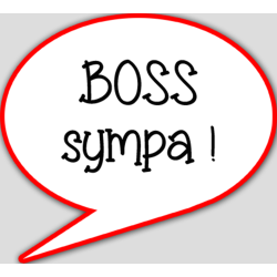 boss sympa - 15x13.5cm - sticker/autocollant