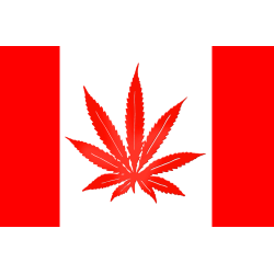 Drapeau canada canabis (15x10cm) - Sticker/autocollant