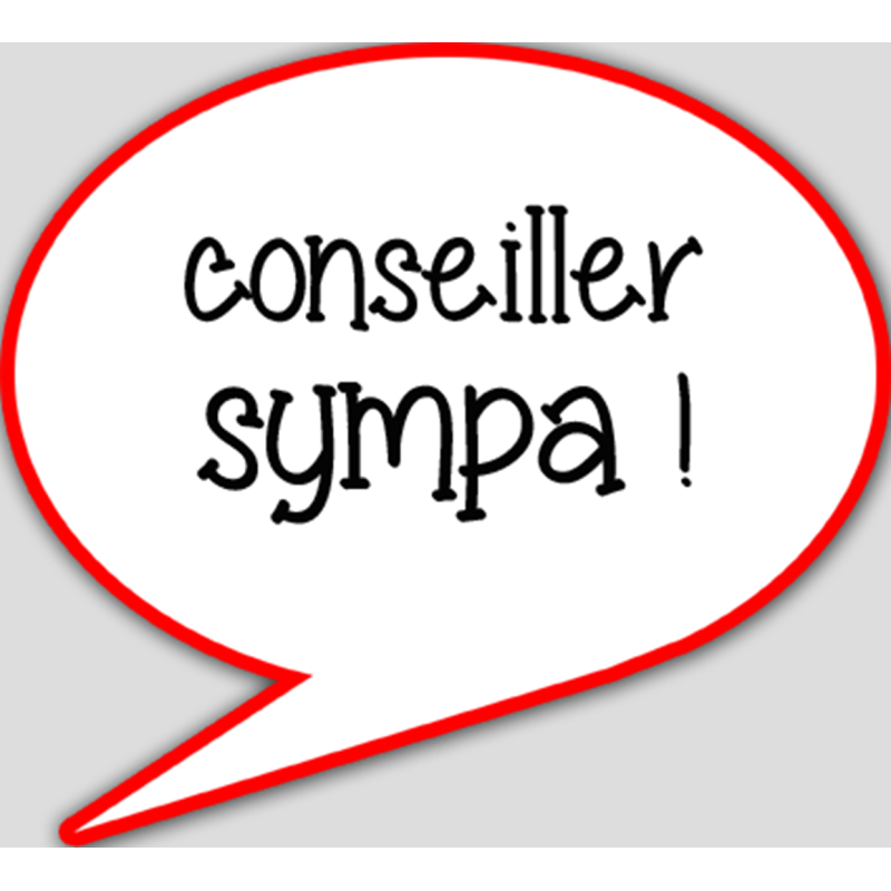 conseiller sympa - 15x13.5cm - sticker/autocollant