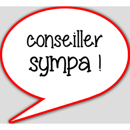 conseiller sympa - 15x13.5cm - sticker/autocollant