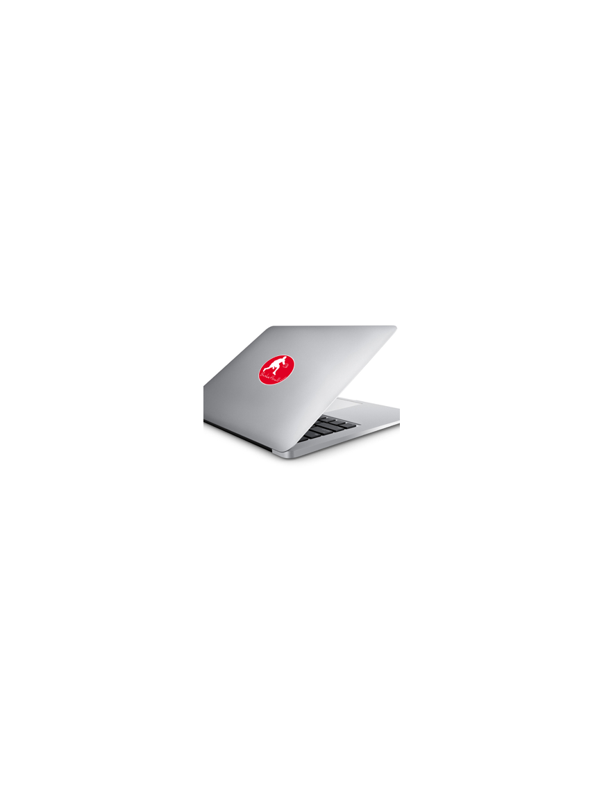 Largeur de passage 5.00m - 10cm - Sticker/autocollant