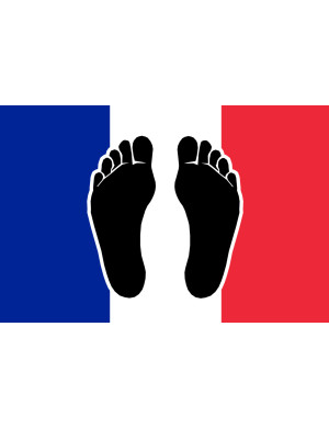Pieds noirs drapeau Français - 20x13cm - Sticker/autocollant