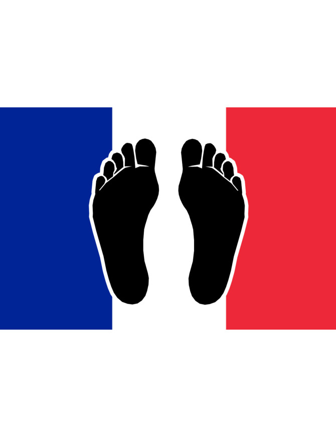 Pieds noirs drapeau Français - 20x13cm - Sticker/autocollant
