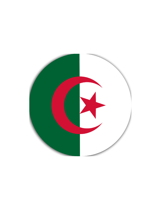 Algérie - 20cm - Sticker/autocollant