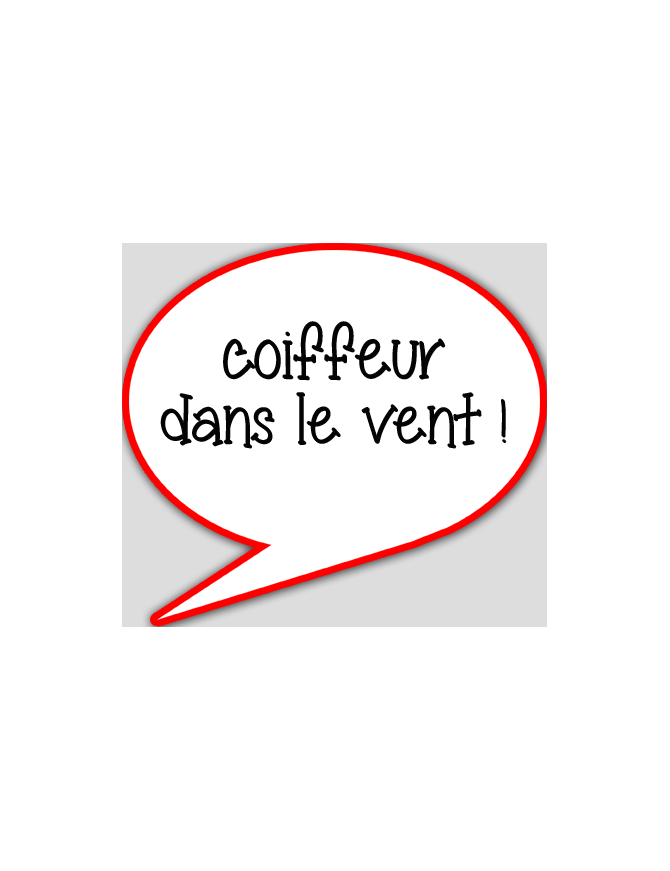 coiffeur dans le vent - 10x9cm - sticker/autocollant