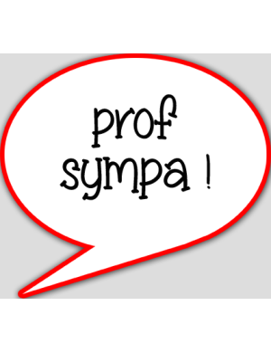 prof sympa - 15x13.5cm - sticker/autocollant