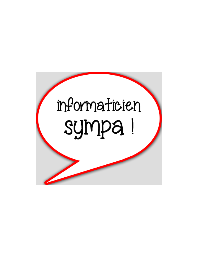 informaticien sympa - 15x13.5cm - sticker/autocollant