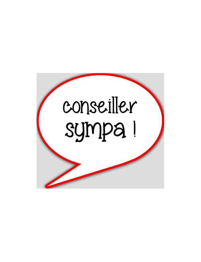 conseiller sympa - 10x9cm - sticker/autocollant