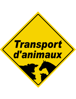 Transport d'animaux - 15x15cm - Sticker/autocollant