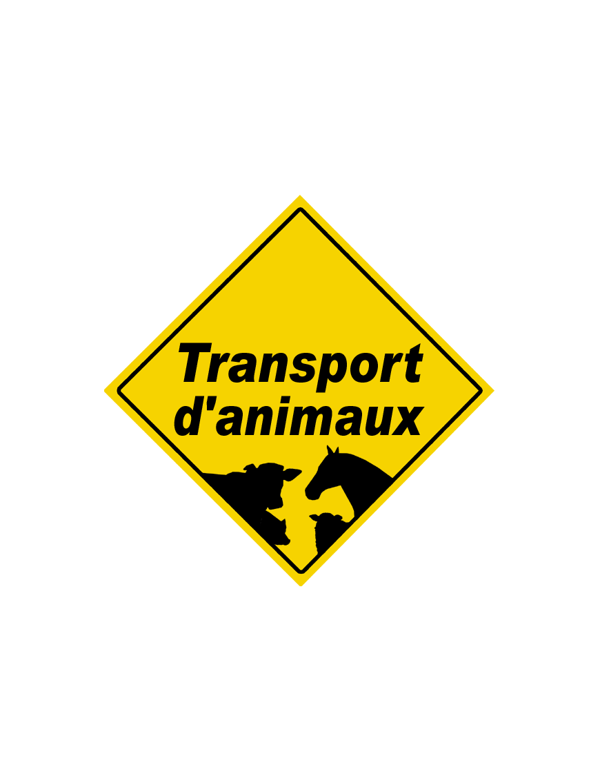 Transport d'animaux - 15x15cm - Sticker/autocollant