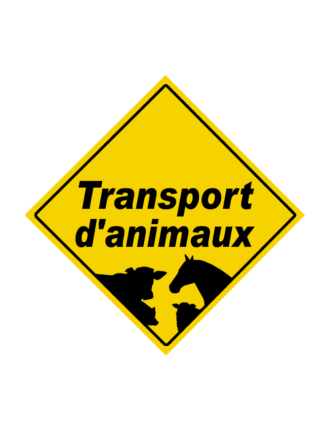 Transport d'animaux - 15x15cm - Sticker/autocollant