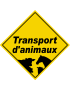 Transport d'animaux - 15x15cm - Sticker/autocollant