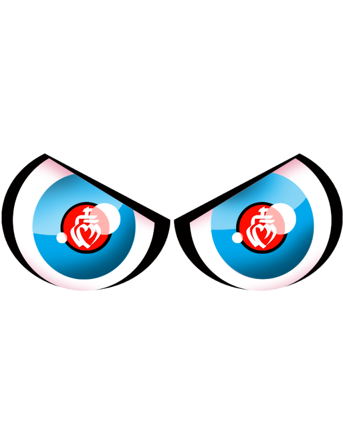 Paire d'yeux Vendéen - 14x6cm - Sticker/autocollant