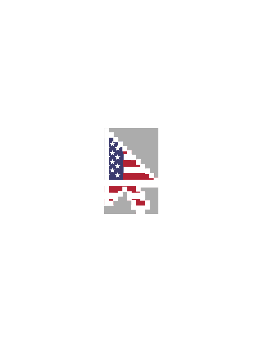 curseur flèche USA - 10x6.3cm - Sticker/autocollant