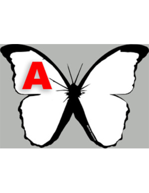 effet papillon A - 15cm - Sticker/autocollant