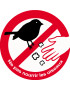 Ne pas nourrir les oiseaux - 15cm - Sticker/autocollant