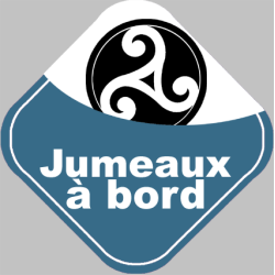 Bébés à bord jumeaux triskel -10cm - Sticker/autocollant