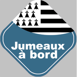 bébés à bord jumeaux breton (10x10cm) - Sticker/autocollant