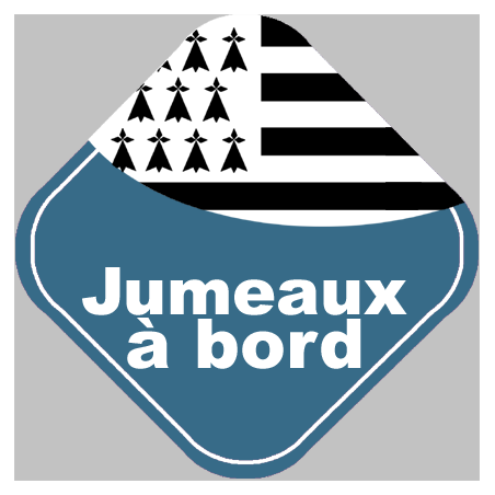 bébés à bord jumeaux breton (10x10cm) - Sticker/autocollant