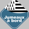 bébés à bord jumeaux breton (10x10cm) - Sticker/autocollant