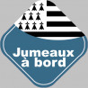 bébés à bord jumeaux bretons (10x10cm) - Autocollant(sticker)