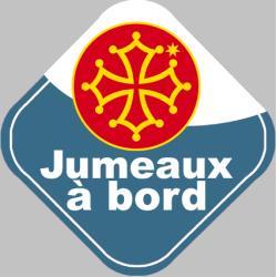 bébé à bord jumeaux Occitans - 10cm - Sticker/autocollant