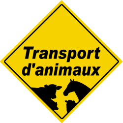 Transport d'animaux - 20x20cm - Sticker/autocollant