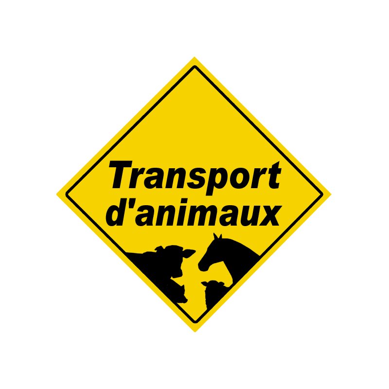 Transport d'animaux - 20x20cm - Sticker/autocollant