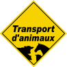 Transport d'animaux - 20x20cm - Sticker/autocollant