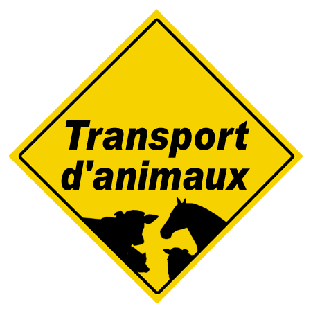 Transport d'animaux - 20x20cm - Sticker/autocollant