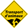 Transport d'animaux - 20x20cm - Sticker/autocollant