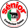 conducteur Sénior Italien - 15cm - Sticker/autocollant
