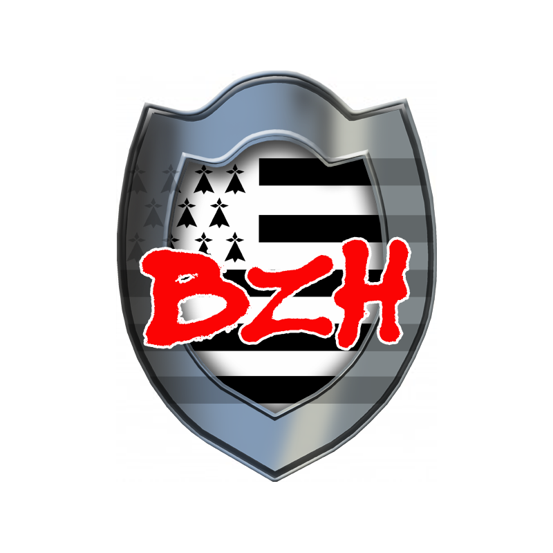 Bouclier BZH (20x15cm) - Sticker/autocollant